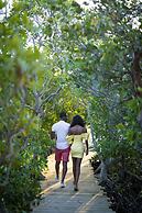 The Escape at Nonsuch Bay  - Adults Only