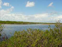 Buttonwood Reserve 2C