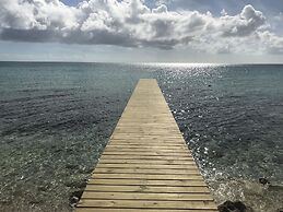 Buttonwood Reserve 2D