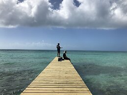 Buttonwood Reserve 2D