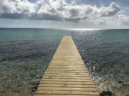 Buttonwood Reserve 1B