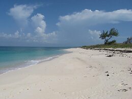 Buttonwood Reserve 1C