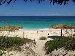 Buttonwood Reserve 1C