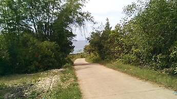 Bougainvillea Paradise Campground