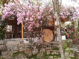 Bougainvillea Paradise Campground