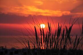 Ringelnatz Warnemünde