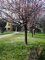 B&B L'Albero Cavo