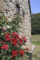 Verdidea - Bagnoletto