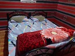 Wadi Rum Desert Adventures