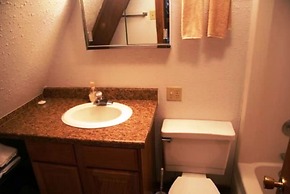 Mammoth Mountain Cabin