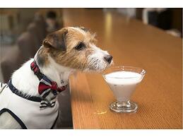 Regina Resort Karuizawa Mikageyousui