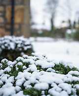 Darwin Cottage Self Catering in Elgin