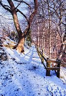 Darwin Cottage Self Catering in Elgin