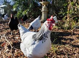 Darwin Cottage Self Catering in Elgin