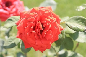 Agriturismo Bio Il Torrione