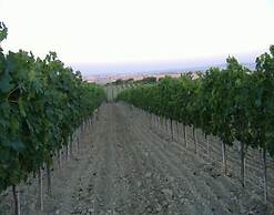 Agriturismo Bio Il Torrione