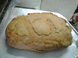 Agriturismo Bio Il Torrione