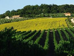 Agriturismo Bio Il Torrione