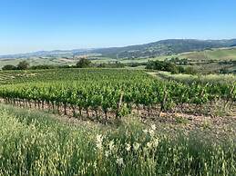 Agriturismo Bio Il Torrione