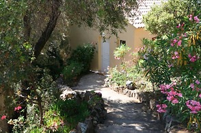 Les Asphodèles