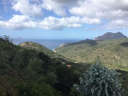 Les Asphodèles