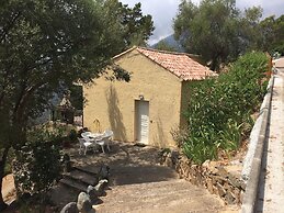 Les Asphodèles