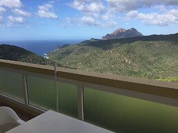 Les Asphodèles