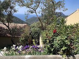 Les Asphodèles