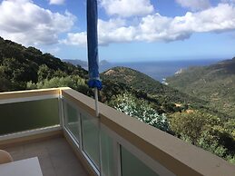 Les Asphodèles