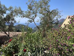 Les Asphodèles