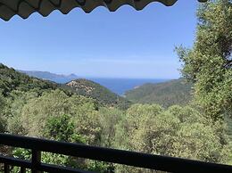 Les Asphodèles
