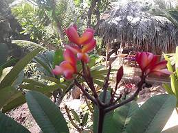 Blue Lagoon Resort Goa