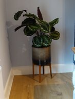 Spacious Apartment in Winchester