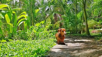 Good Karma Ayurvedic Resort