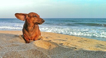 Good Karma Ayurvedic Resort