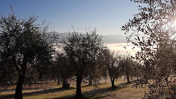 Il Borgo di Villa Cellaia