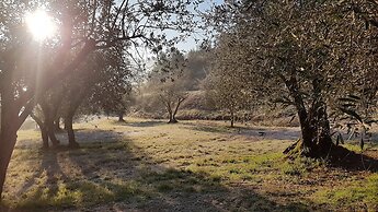 Il Borgo di Villa Cellaia