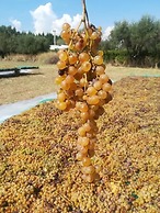 Agriturismo Nereide Ceratti