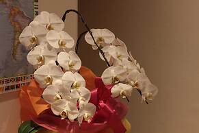 Guest House COCO Hiroshima - Hostel, Caters to Women