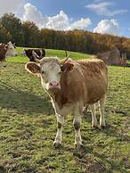 Agriturismo Il Cerreto