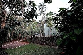 Chácara Andó Bed & Breakfast