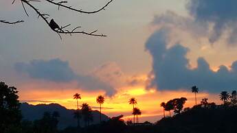 Eminence - Palm Residency