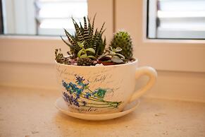 Split Summer Lounge Apartments