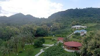 Wildwin Resort - Hostel
