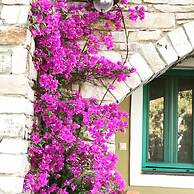 Anemoessa Luxury Villas