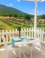 Aliya Konak - Köy Evi ve Lezzetleri