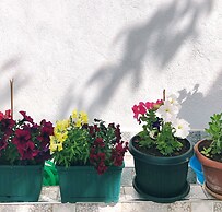 Aliya Konak - Köy Evi ve Lezzetleri