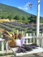 Aliya Konak - Köy Evi ve Lezzetleri