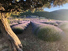 Aliya Konak - Köy Evi ve Lezzetleri