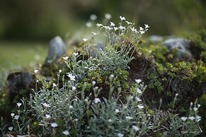 Les Chambres du Vivier